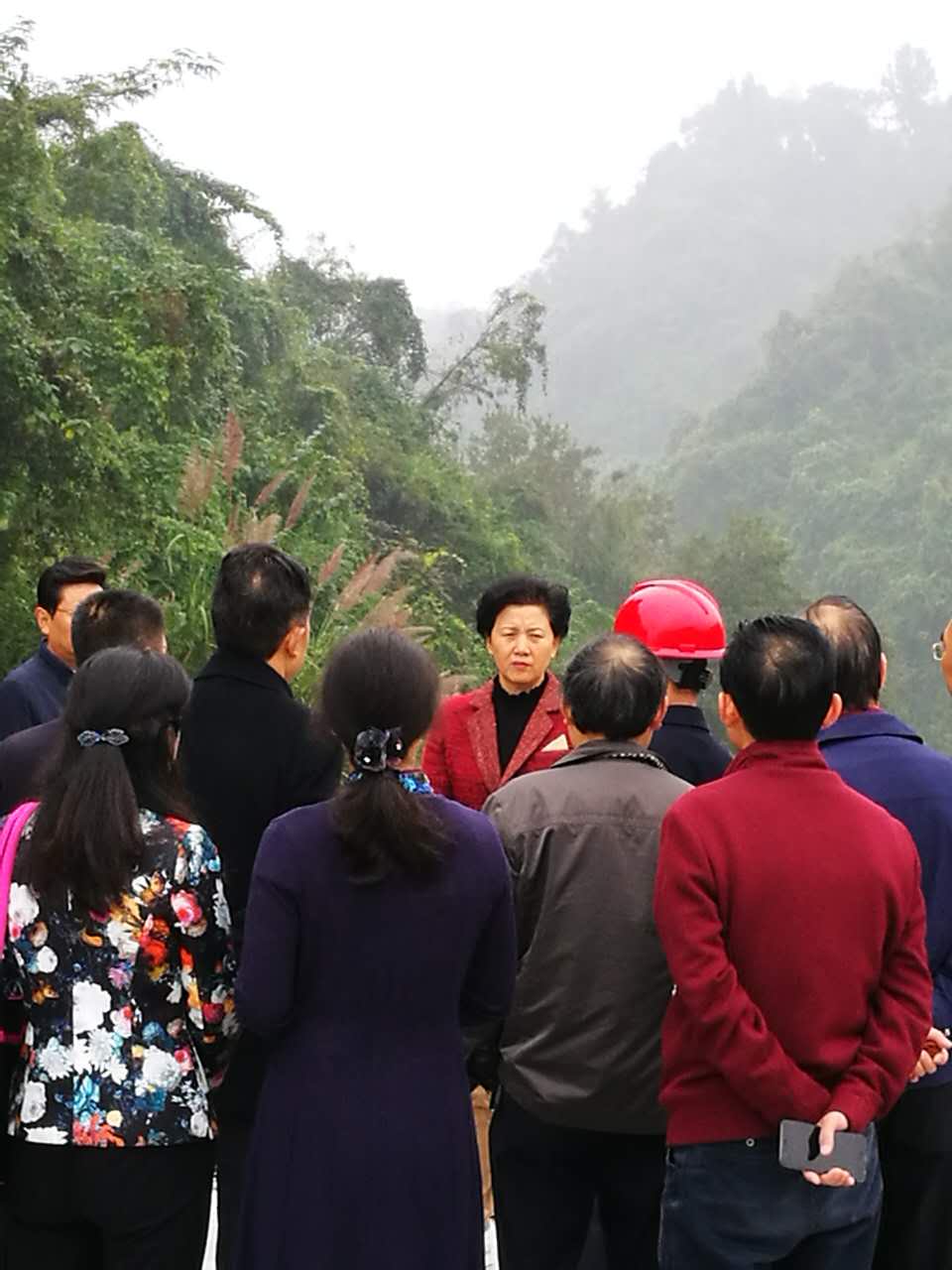 康主席及市领导在金南大桥视查2.jpg