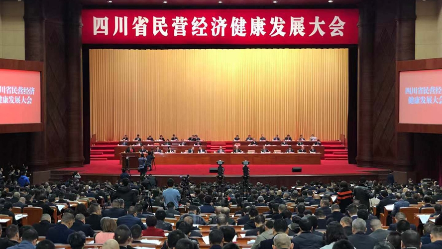 四川省民营经济健康发展大会现场_800x600.jpg